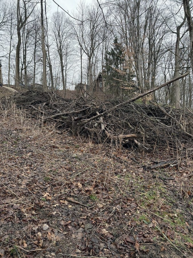 A long pile of cut brush and downed limbs banked across a wooded slope before clearing.