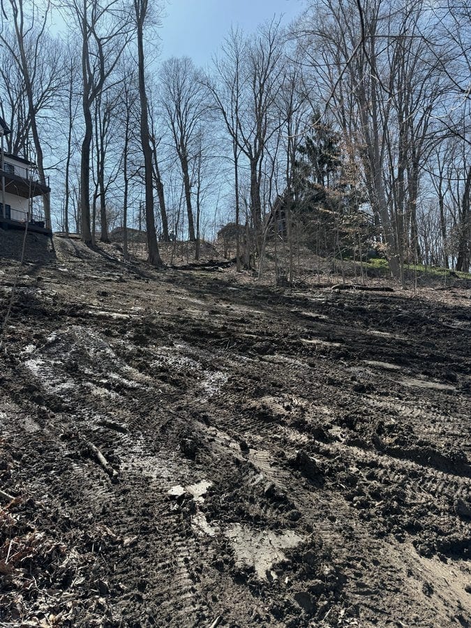 The same wooded slope after clearing, opened up and tracked over with bare graded soil under the standing trees.