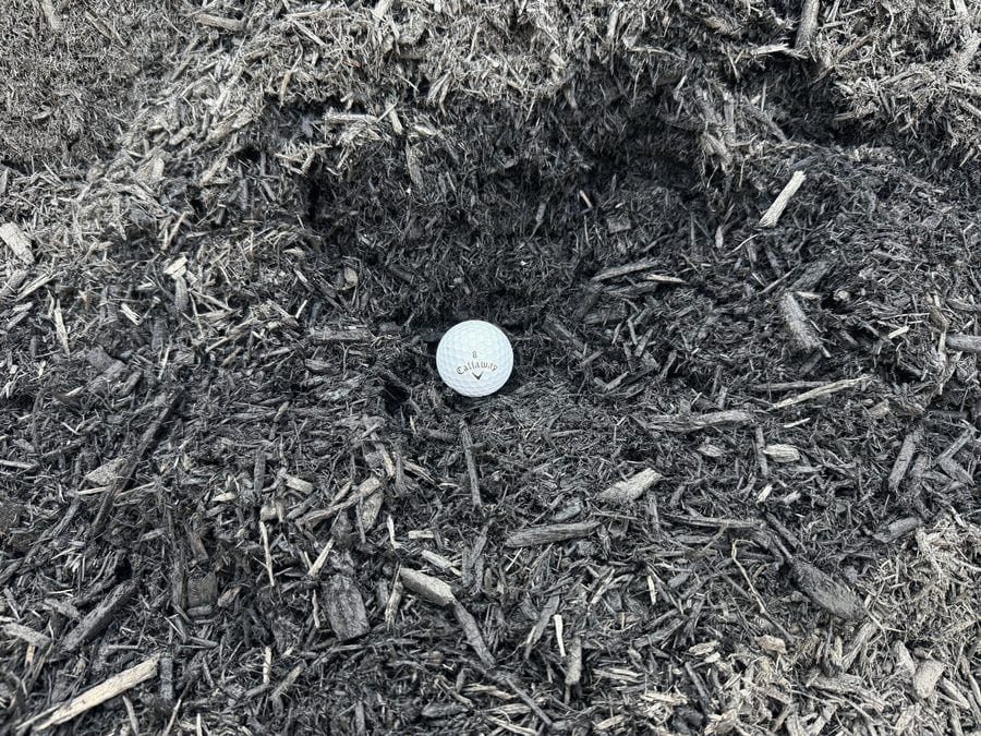 Shredded black mulch, with a golf ball resting on the pile for scale.