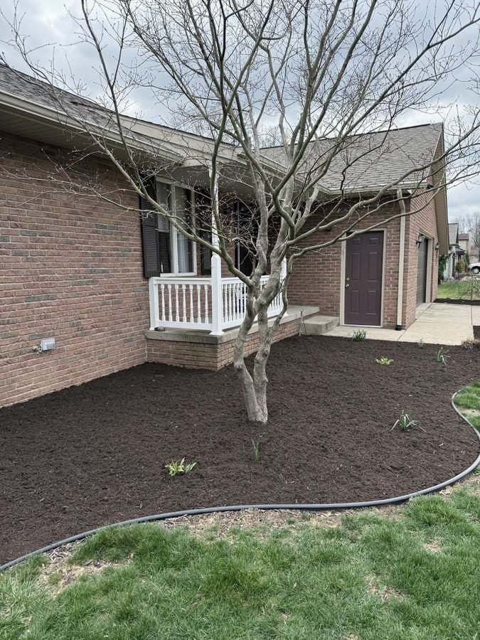 A fresh brown mulch bed with new plantings and black edging wraps around a mature tree at the front of a brick ranch home.